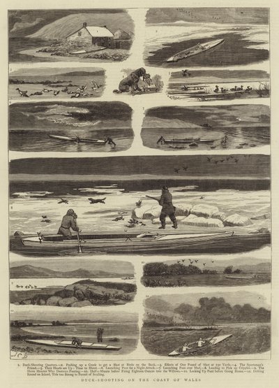 Chasse au canard sur la côte du Pays de Galles - John Charles Dollman